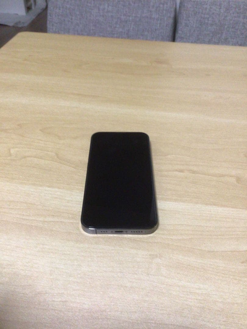 Apple iPhone 13 Pro グラファイト