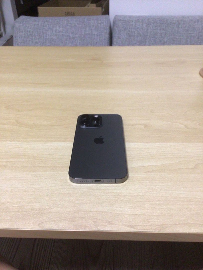 Apple iPhone 13 Pro グラファイト