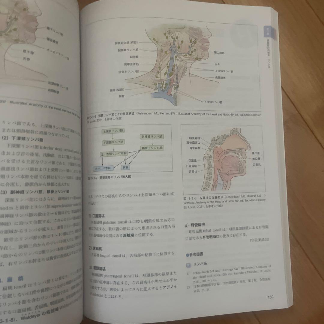 口腔解剖学 第3版