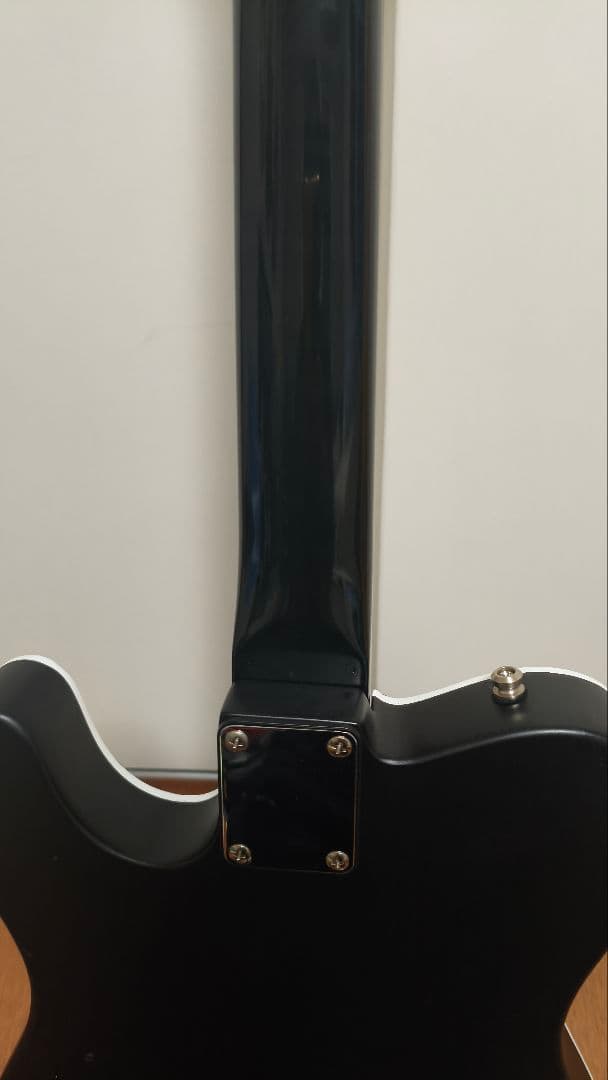 FERNANDES　＊TEJ-リノベーション　布袋モデルニューハーフ♡
