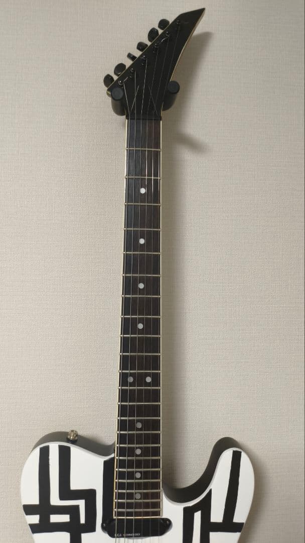 FERNANDES　＊TEJ-リノベーション　布袋モデルニューハーフ♡
