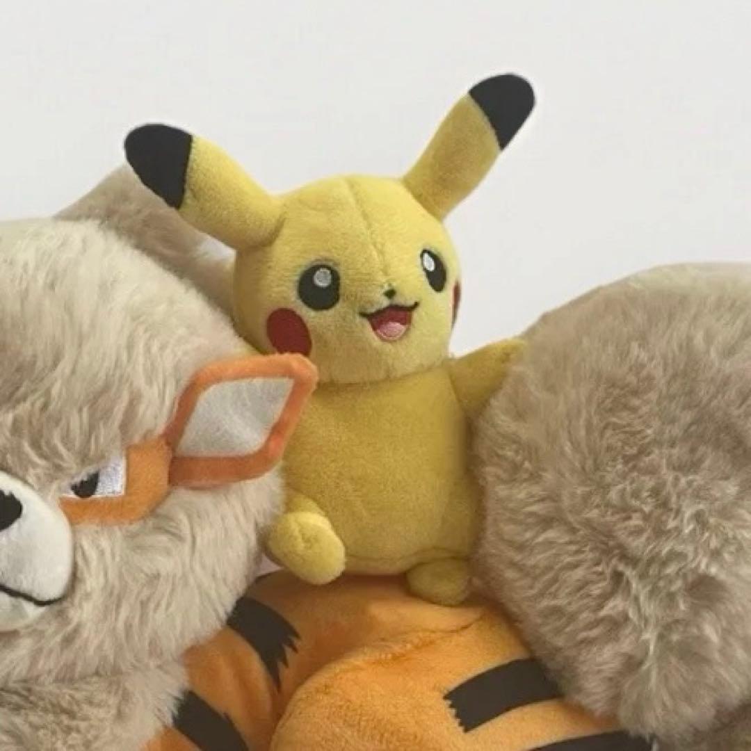 ポケモンセンター　ウインディ×ピカチュウ　ぬいぐるみ　沖縄限定　1周年記念　レア
