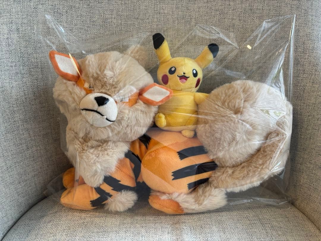 ポケモンセンター　ウインディ×ピカチュウ　ぬいぐるみ　沖縄限定　1周年記念　レア
