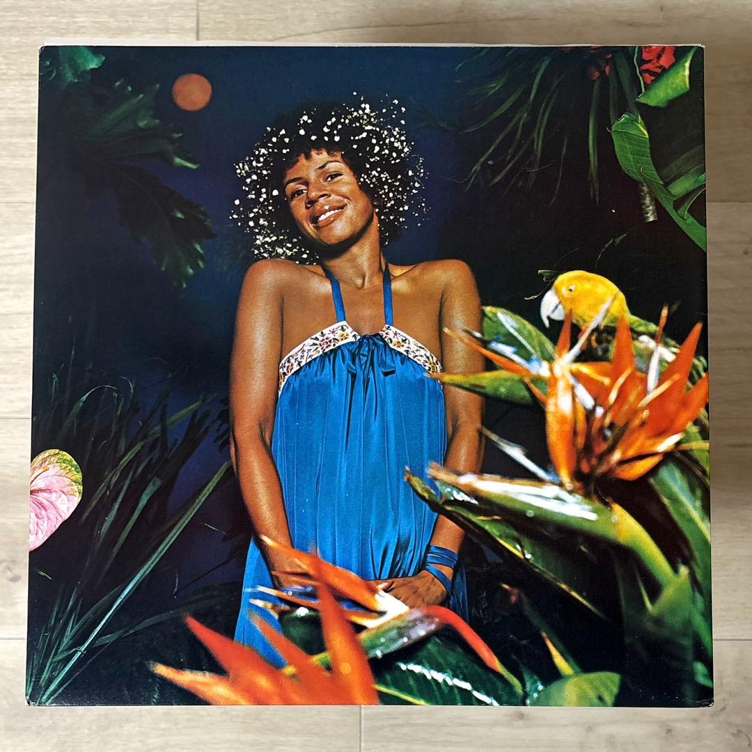 【レアグルーヴ】MINNIE RIPERTON/ADVENTURES IN...