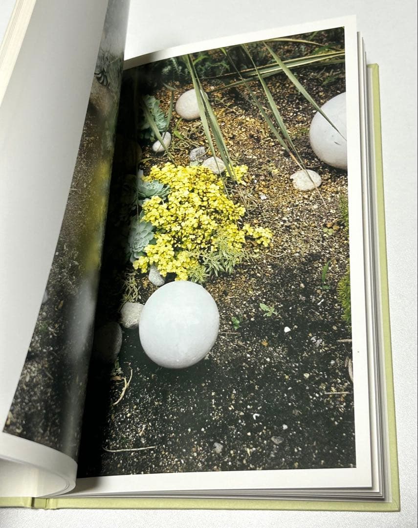IN OUR NATURE Takashi Homma 写真集