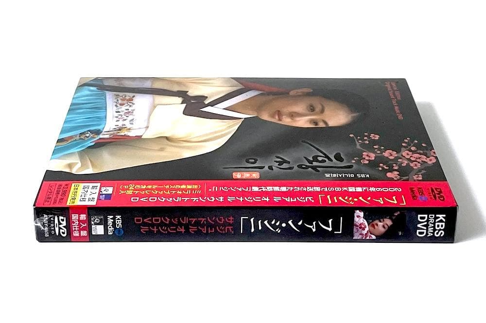 新品未開封 廃盤 ファン・ジニ ビジュアル オリジナル サウンドトラック DVD
