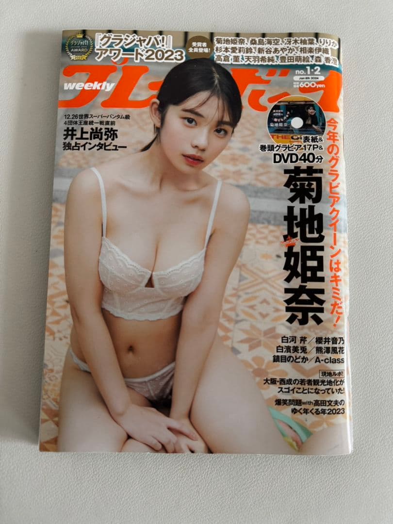 【送料込み】菊地姫奈 写真集・FRIDAY・週刊プレイボーイ