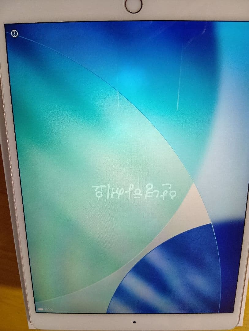 ビ*ス様 iPad Air 第3世代 Wi‐fi ローズゴールド　箱、充電器、ケ