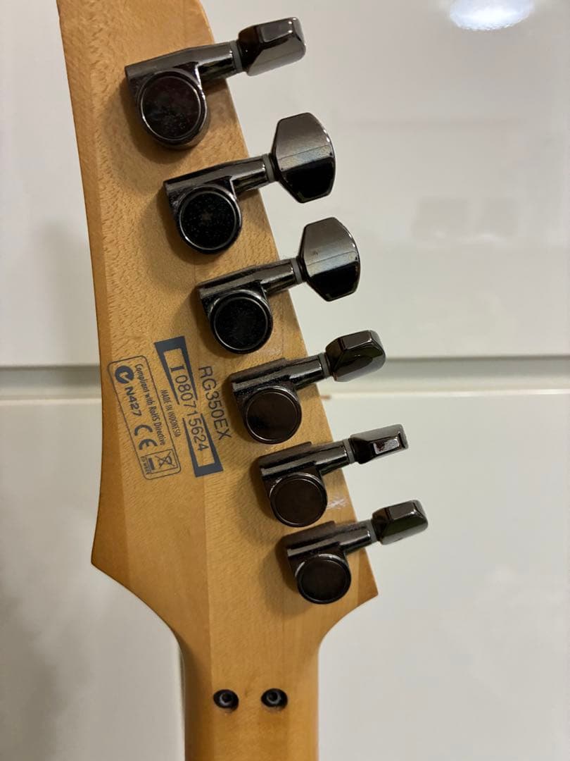 Ibanez RG350EX エレキギター+ハードケース