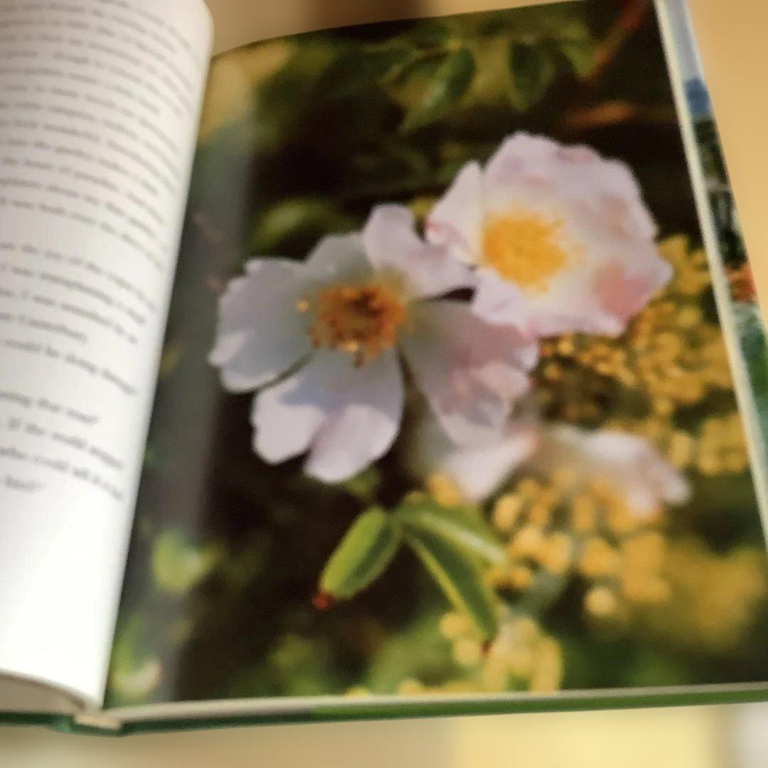 洋書 derek jarman's garden
