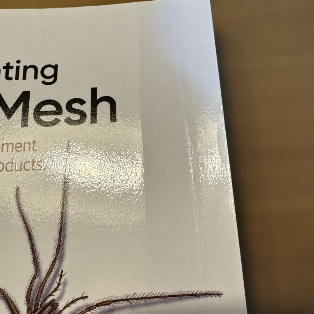 コンピュータ・IT Implementing Data Mesh
