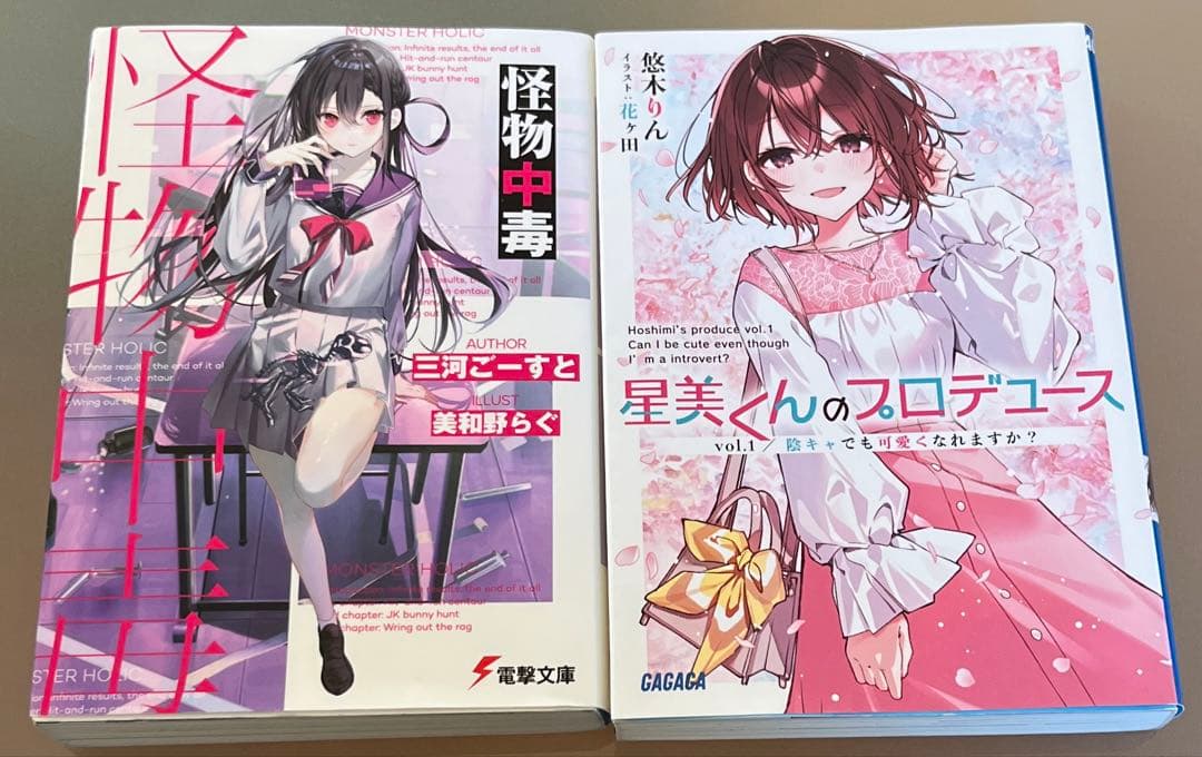 R2 転生、異世界系、アルファポリス系多め　まとめ売り 18冊+おまけ2冊