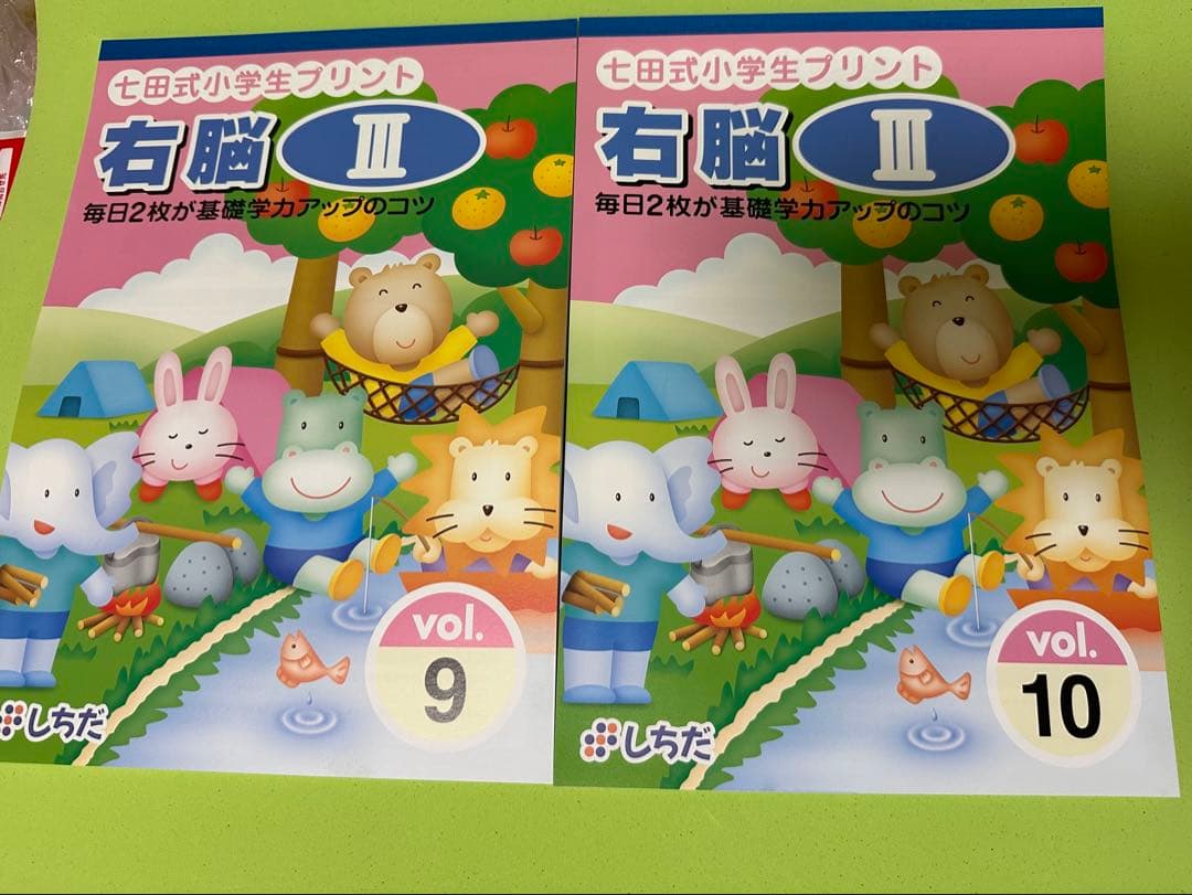 七田式 小学生プリント 右脳 III 学習プリント しちだ