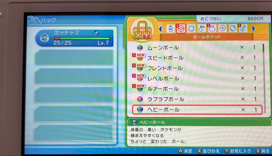 Switch Lite ザシアン・ザマゼンタ BDSPver1.1.1 値下げ可