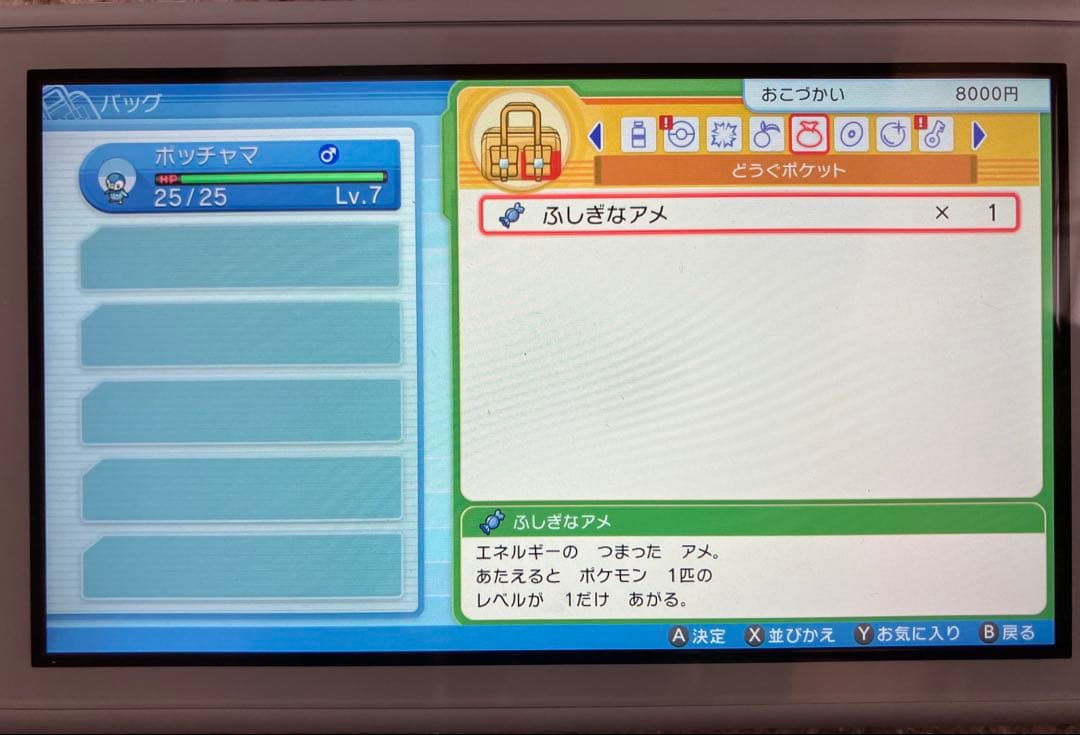 Switch Lite ザシアン・ザマゼンタ BDSPver1.1.1 値下げ可