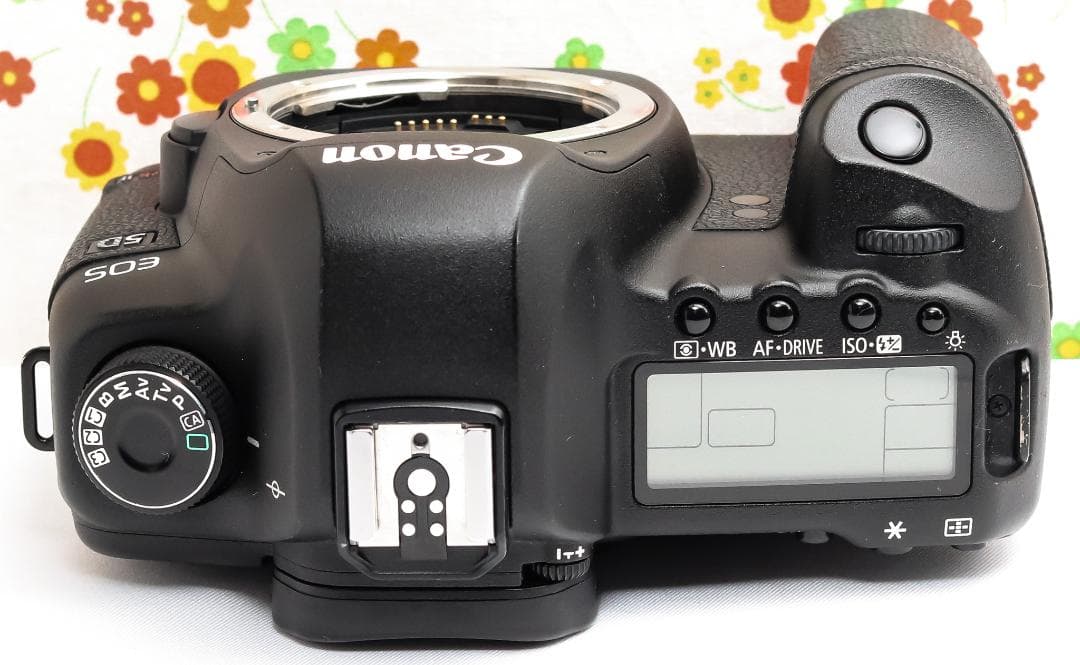 Canon 5D MarkII☆ダブルレンズ！☆高性能フルサイズ☆スマホに転送！