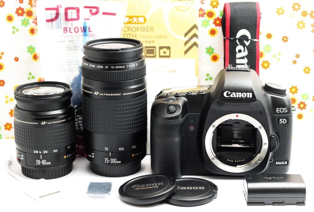 Canon 5D MarkII☆ダブルレンズ！☆高性能フルサイズ☆スマホに転送！