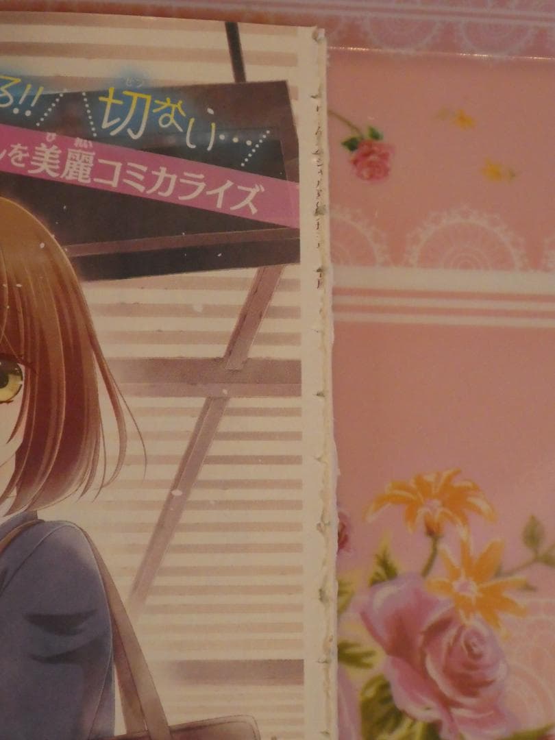 思い出とひきかえに、君を♡2021夏の大増刊号りぼんスペシャル　バニラ＆ミント