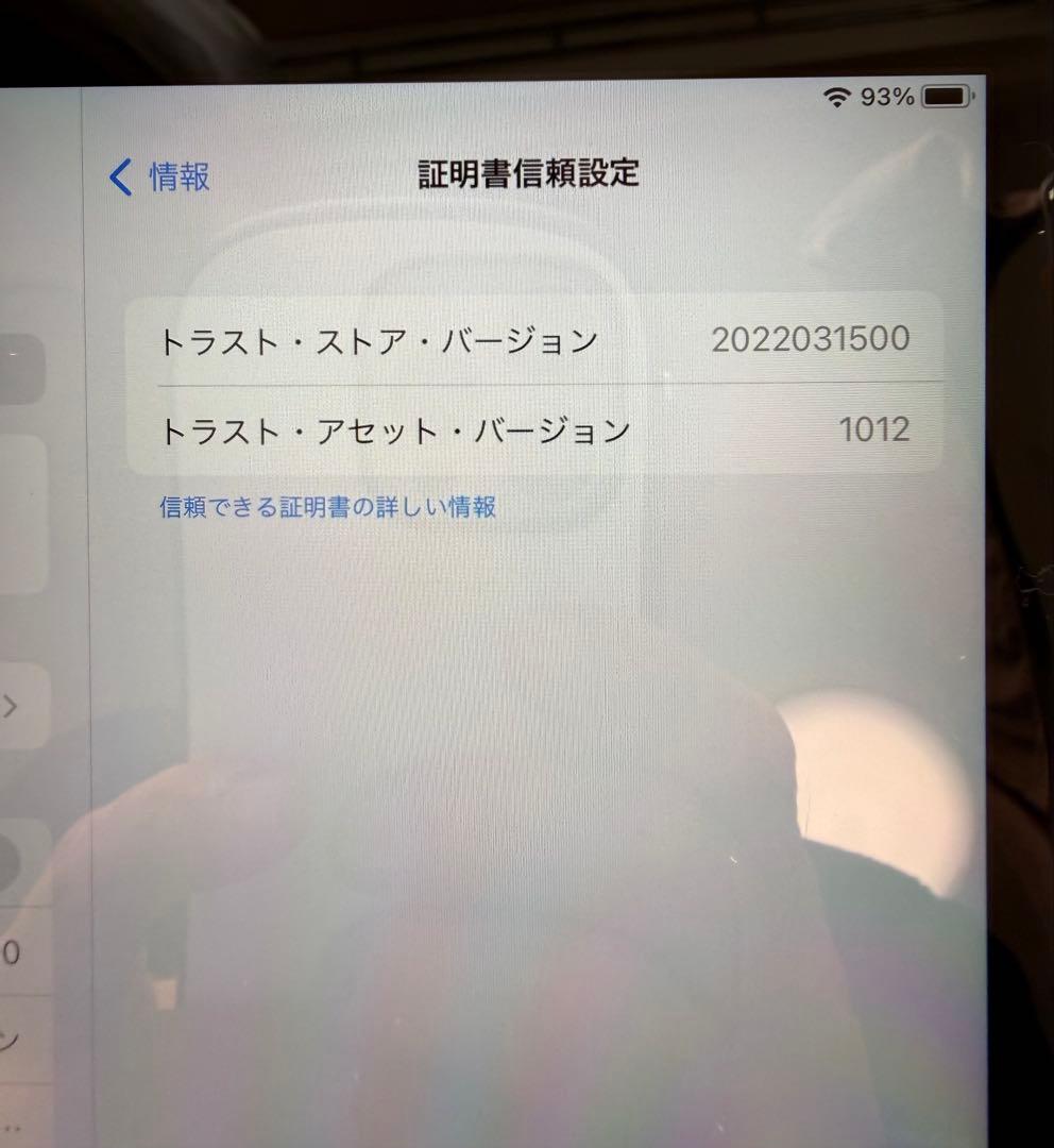 ipad mini 4 A1550 128g cellular 美品・付属品完備