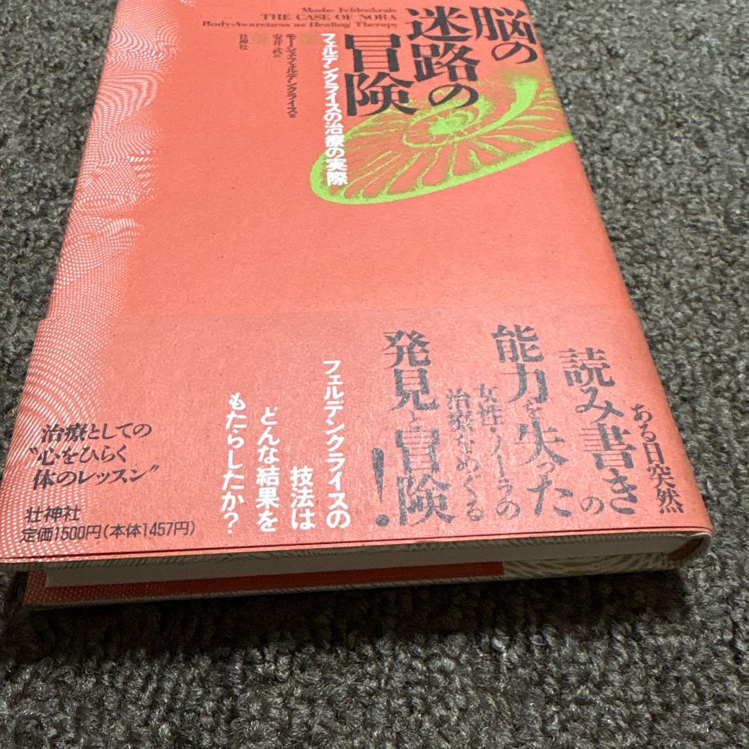 脳の迷路の冒険 安井武著 1991年 フェルデンクライスの治療の実際