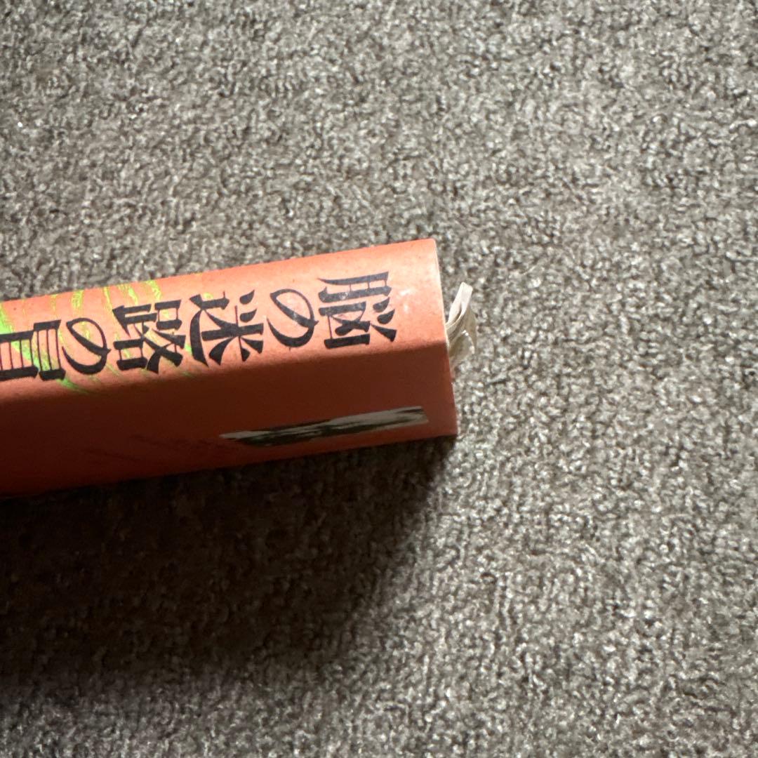 脳の迷路の冒険 安井武著 1991年 フェルデンクライスの治療の実際