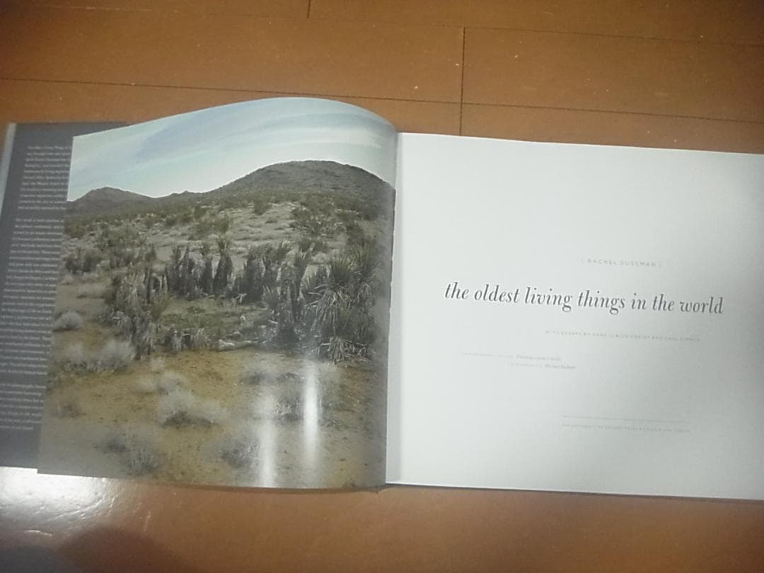 「The Oldest Living Things in the World」