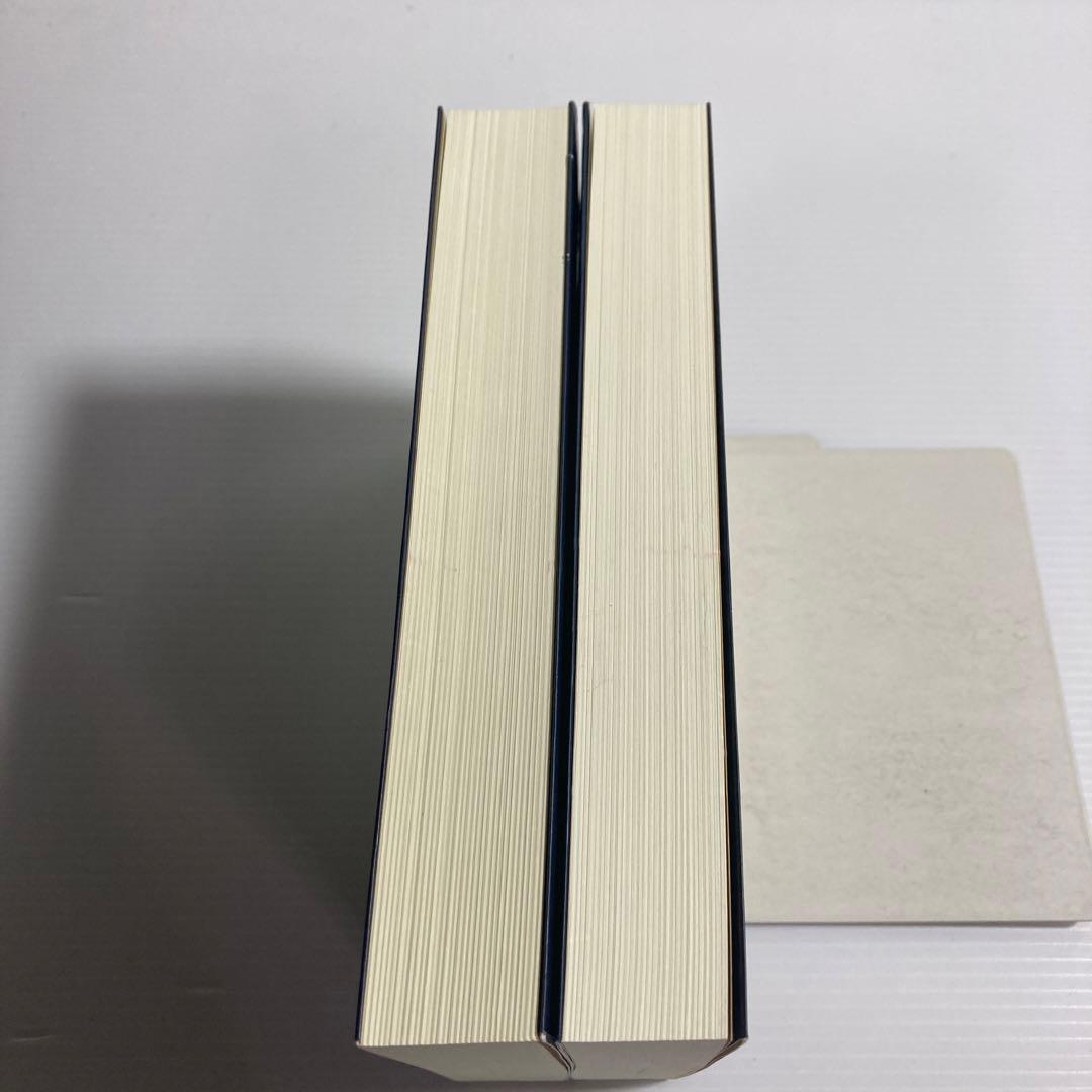 秘教治療 上下 2冊　セット