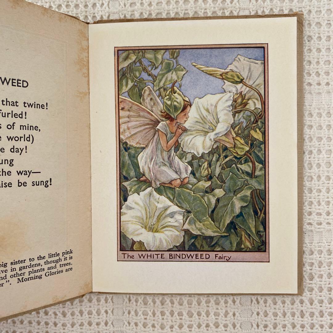 【希少】初版Flower Fairies 道端の花の妖精 洋書 古書
