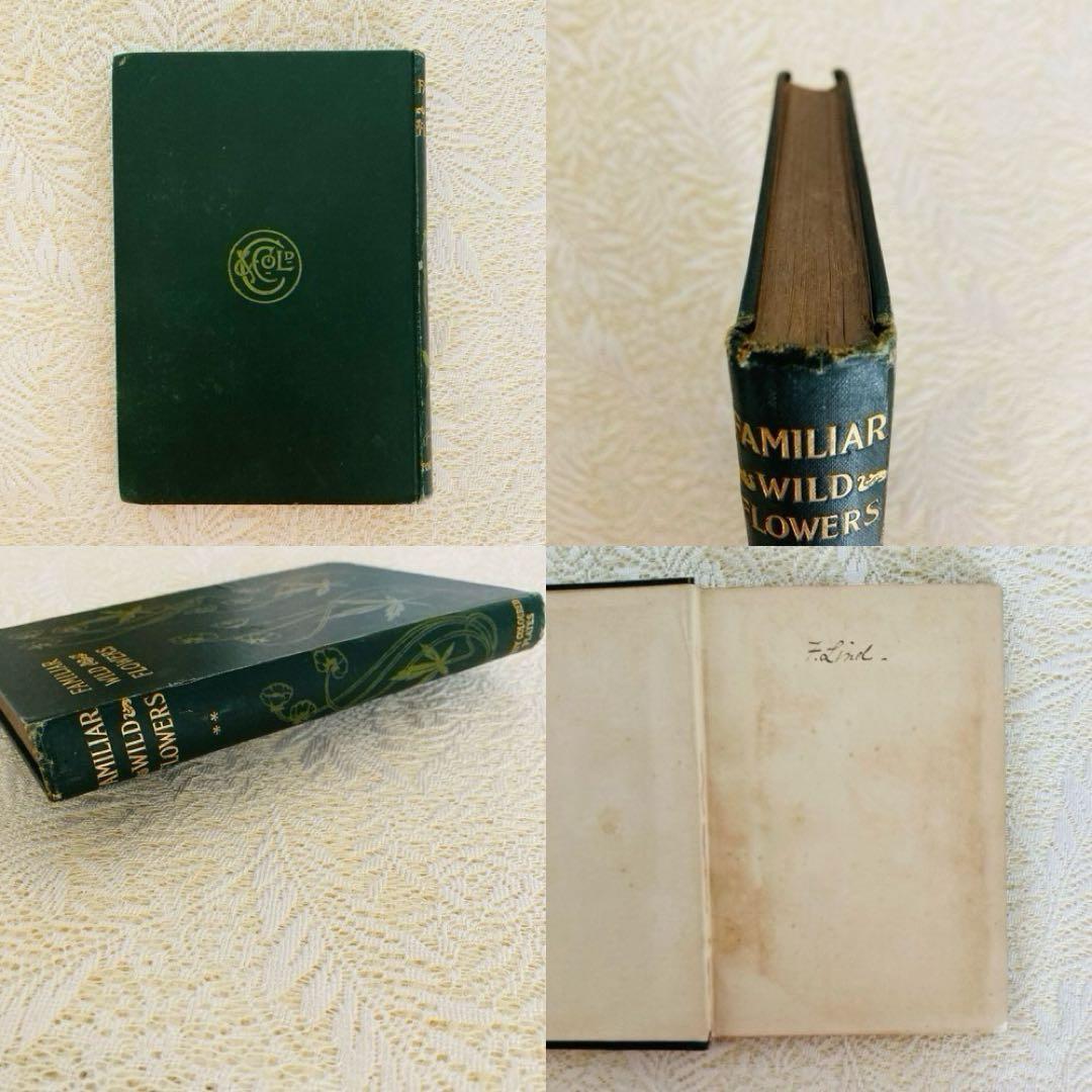 洋書古書　希少　Familiar Wild Flowers　アンティーク植物図鑑