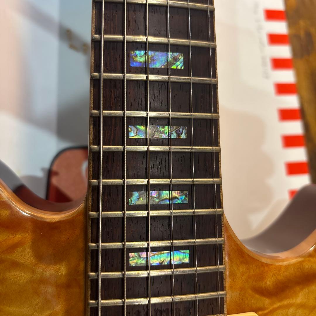Sugi SH605 5AQM ハカランダ指板希少モデルレスポール