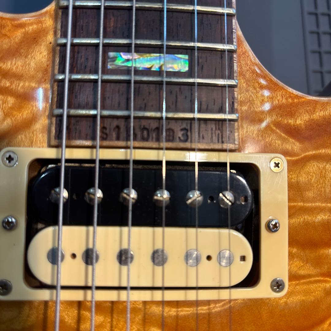 Sugi SH605 5AQM ハカランダ指板希少モデルレスポール