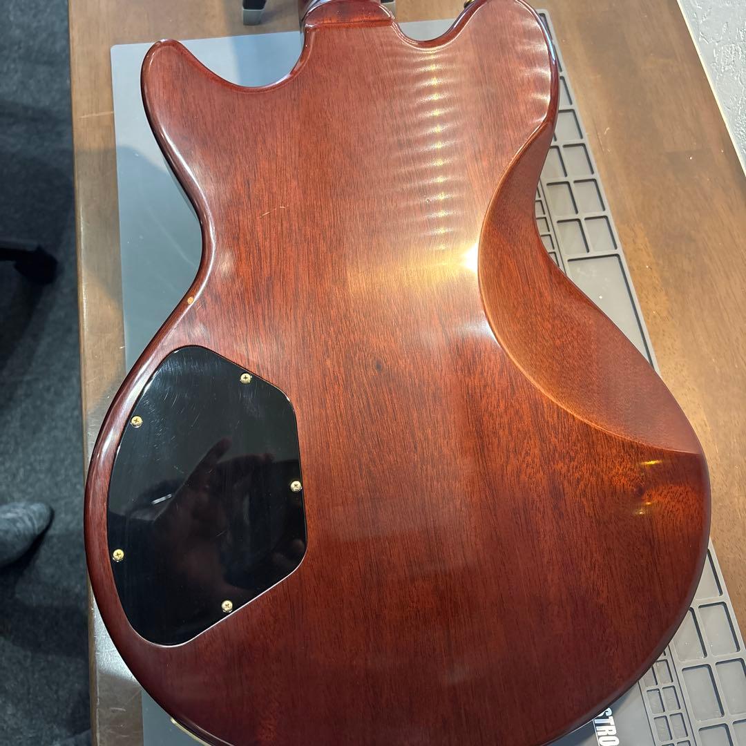 Sugi SH605 5AQM ハカランダ指板希少モデルレスポール