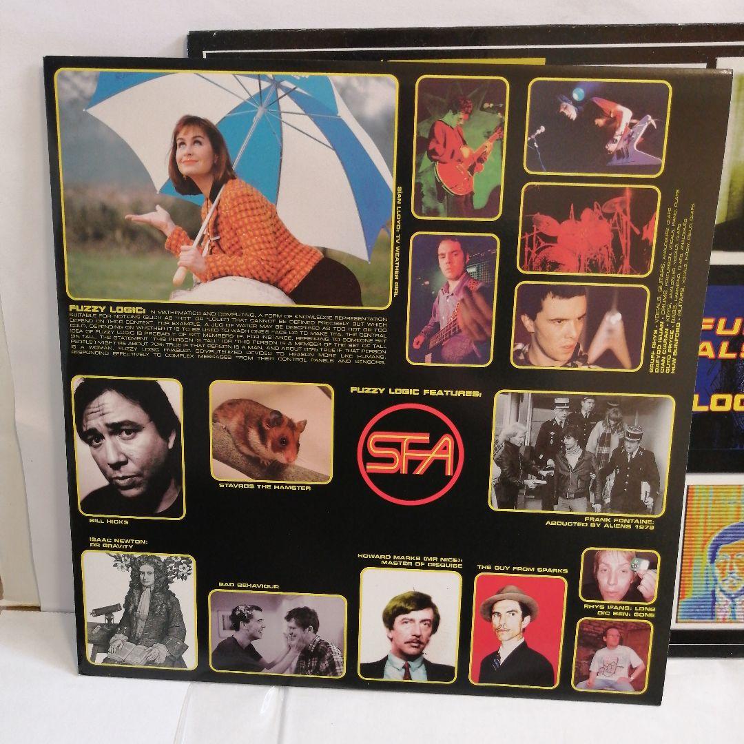 洋楽 SUPER FURRY ANIMALS