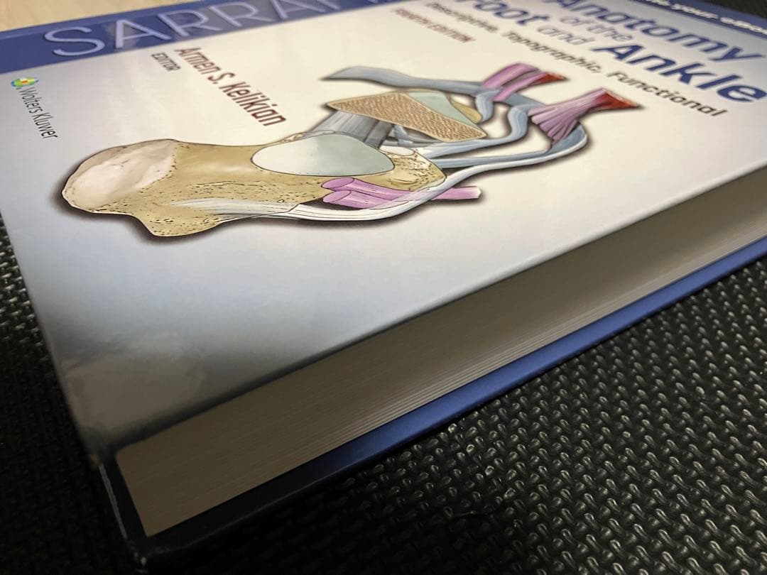 健康・医学 Anatomy of the Foot and ankle