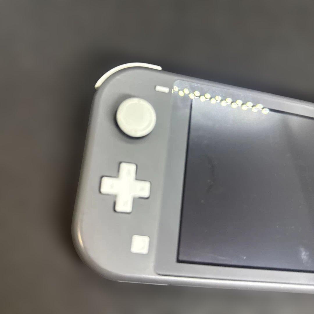 Switch ライト グレー