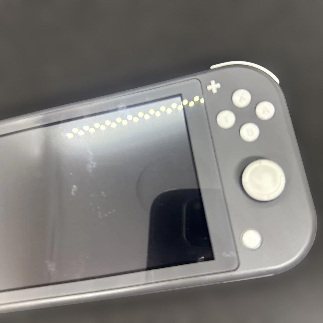 Switch ライト グレー