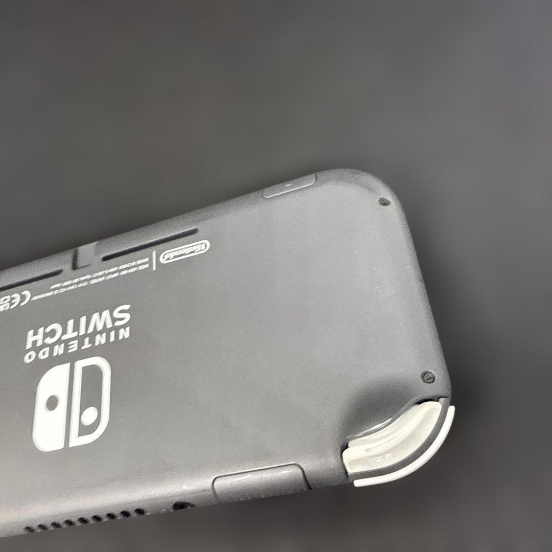 Switch ライト グレー