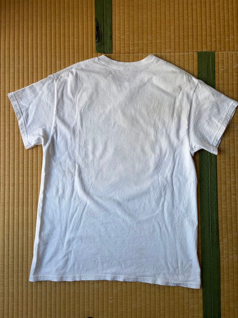 prov tシャツとstarteamtシャツセット
