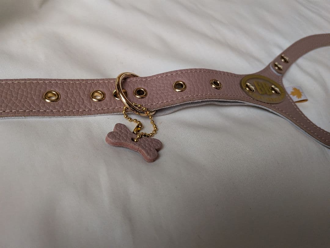 バディーベルト　6号　buddybelts　ハーネス　buddy belts