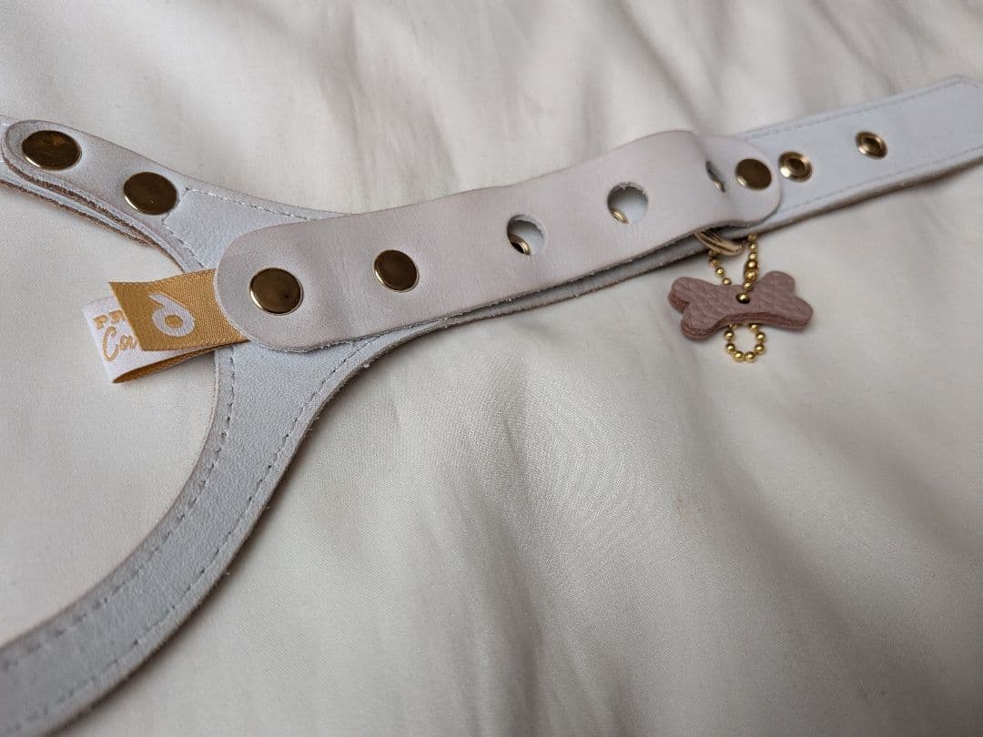 バディーベルト　6号　buddybelts　ハーネス　buddy belts
