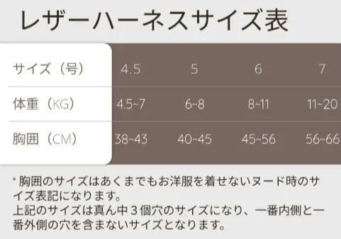バディーベルト　6号　buddybelts　ハーネス　buddy belts