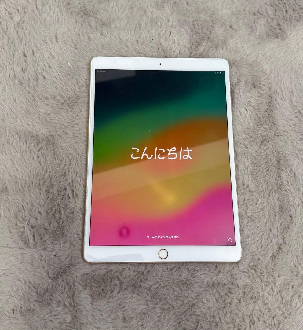 Apple iPad 本体 ゴールド