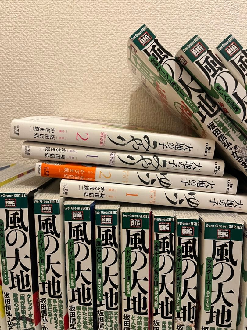 風の大地まとめ売り