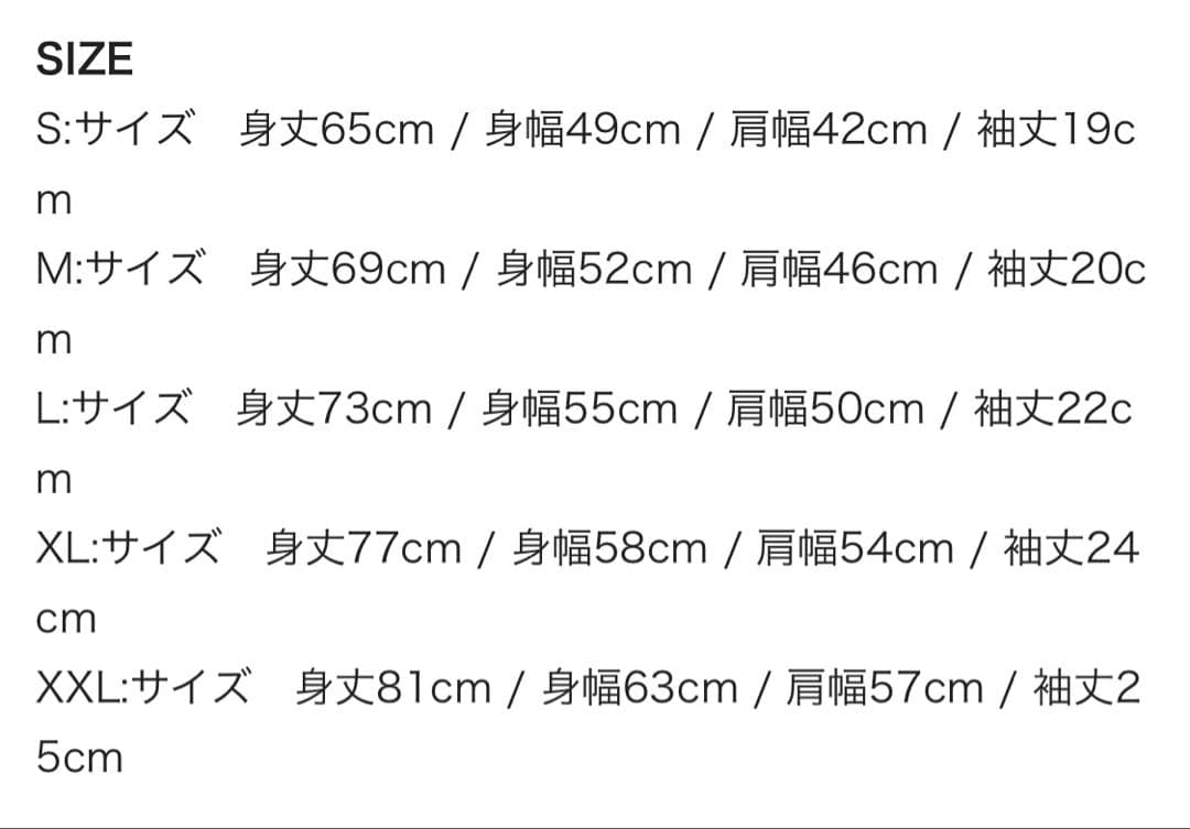 Hi-STANDARD S N B Tシャツ　XL