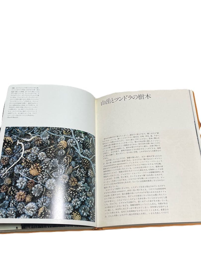 オーデュボン・ソサエティ・ブック 6セット　美品古本　6冊定価78,000