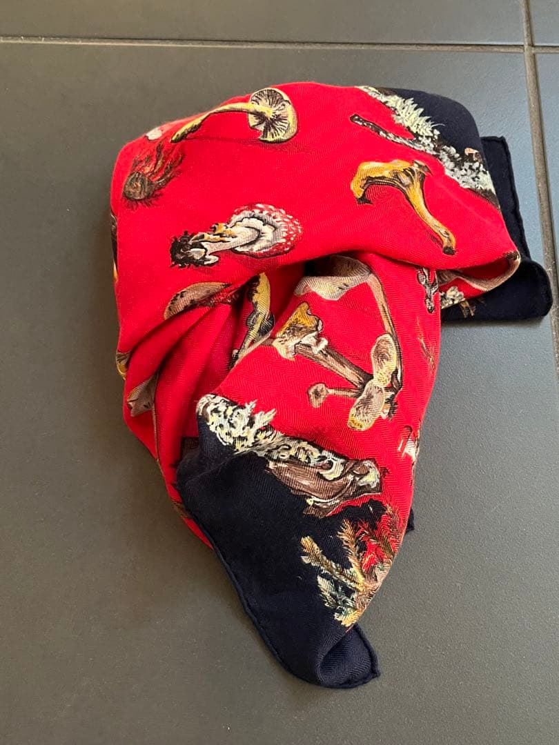 エルメス　キノコ　カシシルカレジュアン　カシミヤシルクストールスカーフ美品