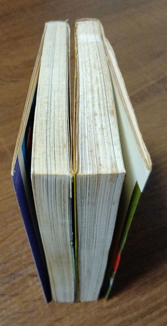 劇画ブルース・リー シリーズ 2冊セット