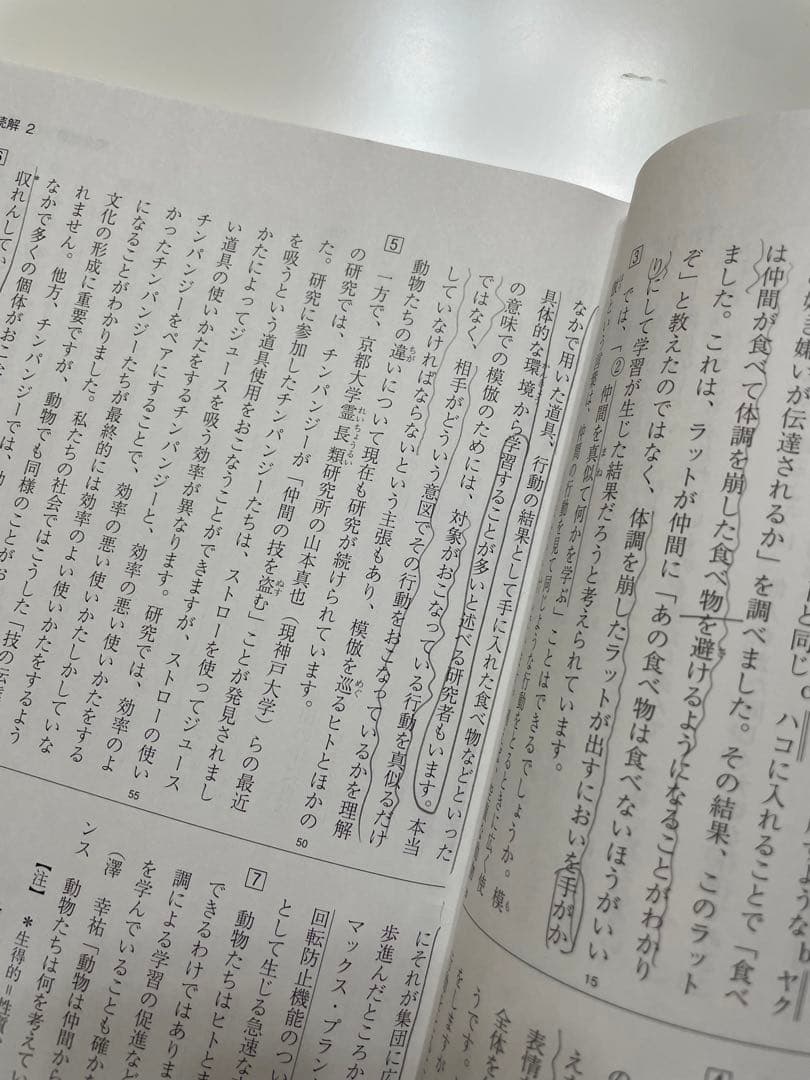 名進研　6年生　国語　完全制覇
