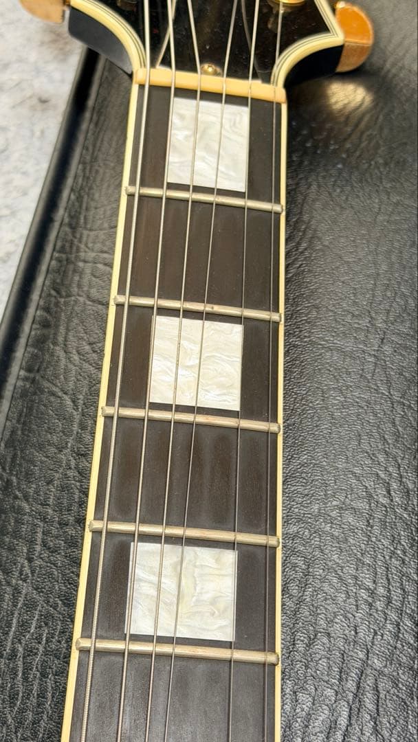 ギター TOM HOLMES THC SemiHollow Standard Block