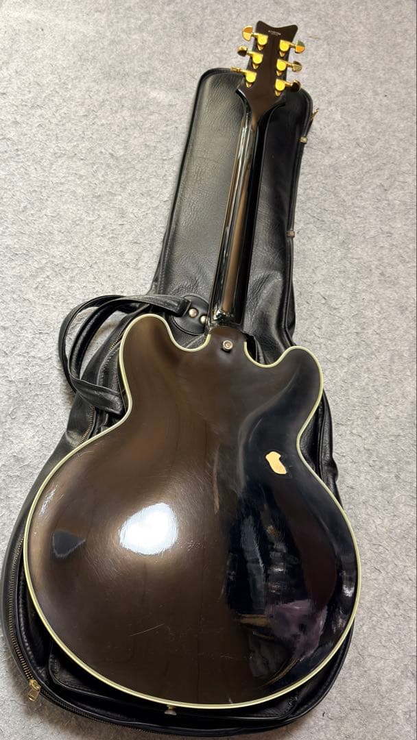 ギター TOM HOLMES THC SemiHollow Standard Block
